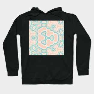 Kaleidoscope of Various Colorful Mandalas Hoodie